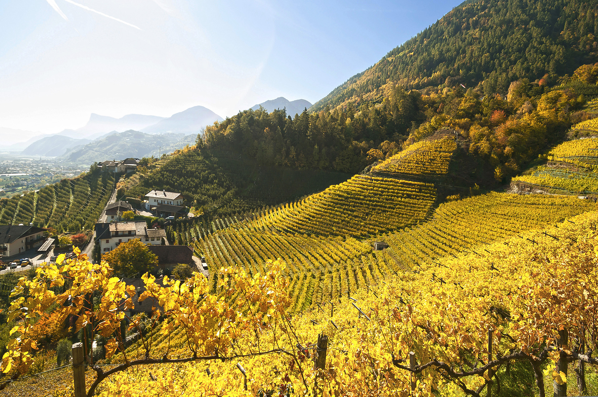 Einzigartige Landschaft, einzigartiges Terroir, einzigartige Weine